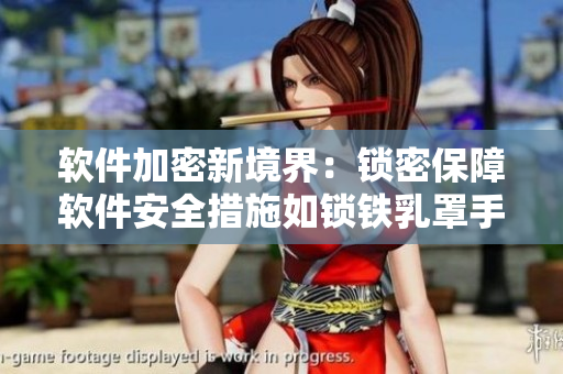 软件加密新境界：锁密保障软件安全措施如锁铁乳罩手铐脚镣项圈锁