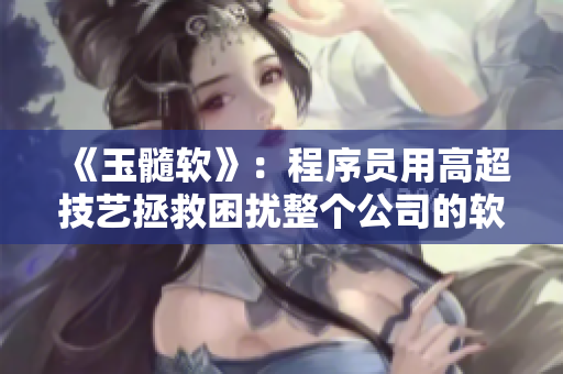 《玉髓软》：程序员用高超技艺拯救困扰整个公司的软件风波