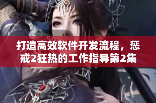 打造高效软件开发流程，惩戒2狂热的工作指导第2集值得一看