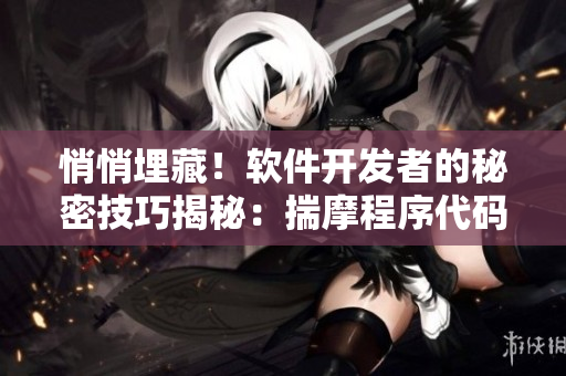 悄悄埋藏！软件开发者的秘密技巧揭秘：揣摩程序代码背后的智慧