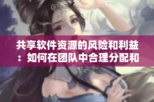 共享软件资源的风险和利益：如何在团队中合理分配和使用
