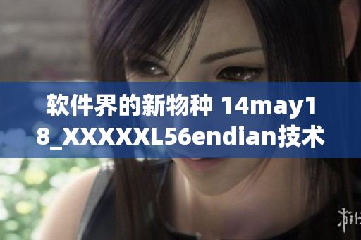 软件界的新物种 14may18_XXXXXL56endian技术简介