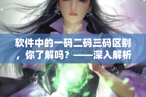 软件中的一码二码三码区别，你了解吗？——深入解析软件编码规范