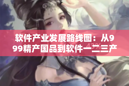 软件产业发展路线图：从999精产国品到软件一二三产区的区别