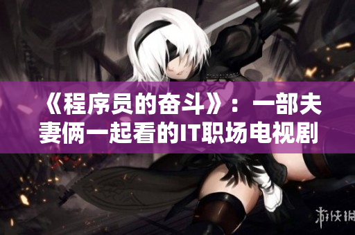 《程序员的奋斗》：一部夫妻俩一起看的IT职场电视剧