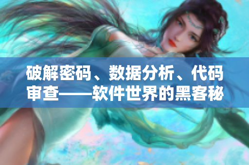破解密码、数据分析、代码审查——软件世界的黑客秘技揭密