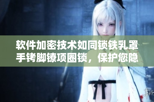 软件加密技术如同锁铁乳罩手铐脚镣项圈锁，保护您隐私安全