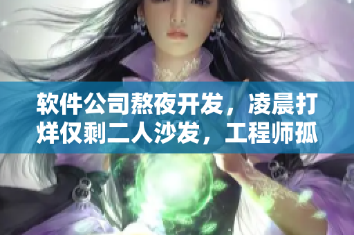 软件公司熬夜开发，凌晨打烊仅剩二人沙发，工程师孤军奋战编写出完美代码