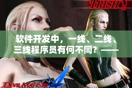软件开发中，一线、二线、三线程序员有何不同？——区分程序员级别的详解