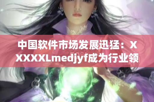 中国软件市场发展迅猛：XXXXXLmedjyf成为行业领先企业