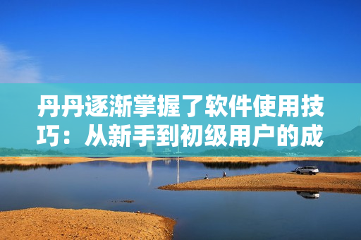 丹丹逐渐掌握了软件使用技巧：从新手到初级用户的成长之路