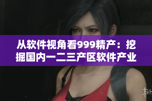 从软件视角看999精产：挖掘国内一二三产区软件产业的实力与机遇