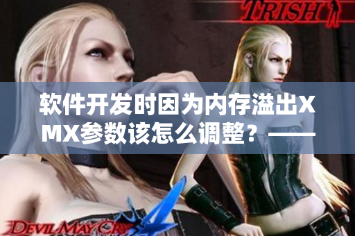 软件开发时因为内存溢出XMX参数该怎么调整？——从问题到解决