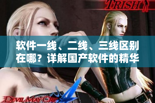 软件一线、二线、三线区别在哪？详解国产软件的精华之选！
