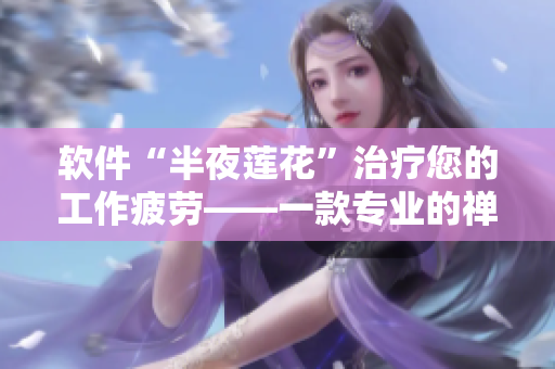 软件“半夜莲花”治疗您的工作疲劳——一款专业的禅修软件