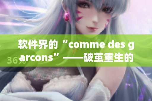 软件界的“comme des garcons”——破茧重生的Adobe