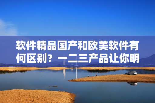 软件精品国产和欧美软件有何区别？一二三产品让你明白真相！