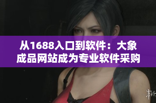 从1688入口到软件：大象成品网站成为专业软件采购平台！