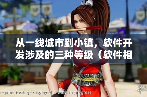从一线城市到小镇，软件开发涉及的三种等级（软件相关）