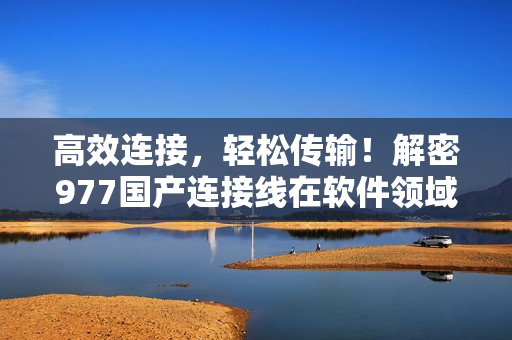 高效连接，轻松传输！解密977国产连接线在软件领域的实用新功能