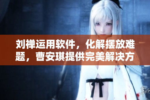 刘禅运用软件，化解摆放难题，曹安琪提供完美解决方案