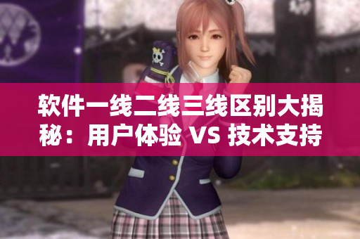 软件一线二线三线区别大揭秘：用户体验 VS 技术支持 VS 安全性