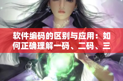 软件编码的区别与应用：如何正确理解一码、二码、三码？