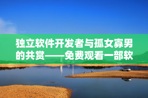 独立软件开发者与孤女寡男的共赏——免费观看一部软件行业题材电视剧