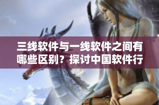 三线软件与一线软件之间有哪些区别？探讨中国软件行业的精华液