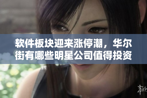 软件板块迎来涨停潮，华尔街有哪些明星公司值得投资？