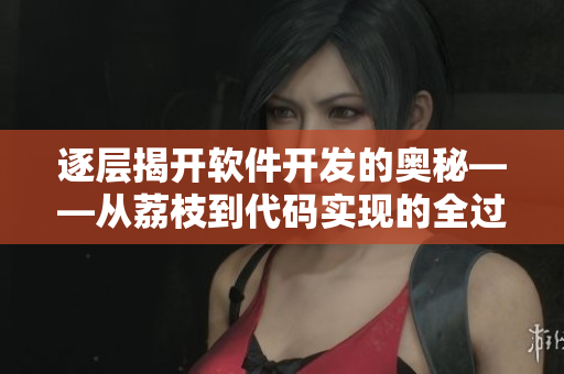 逐层揭开软件开发的奥秘——从荔枝到代码实现的全过程