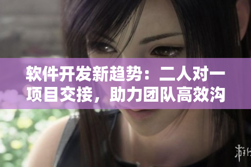 软件开发新趋势：二人对一项目交接，助力团队高效沟通与协作