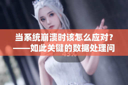 当系统崩溃时该怎么应对？——如此关键的数据处理问题