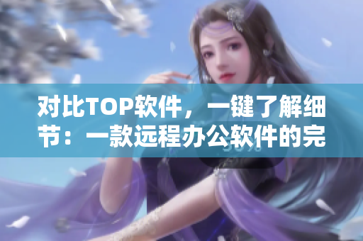对比TOP软件，一键了解细节：一款远程办公软件的完美选择