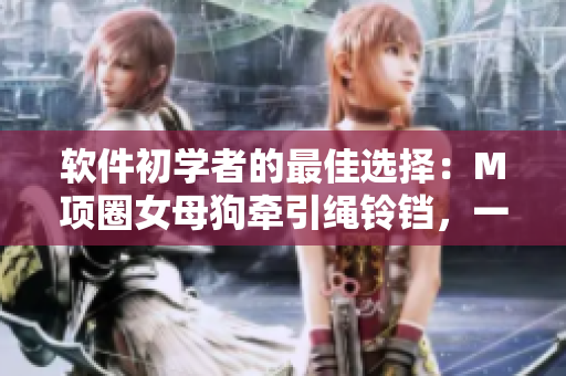 软件初学者的最佳选择：M项圈女母狗牵引绳铃铛，一个简单易用的软件工具