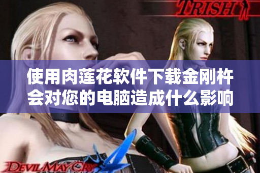 使用肉莲花软件下载金刚杵会对您的电脑造成什么影响？