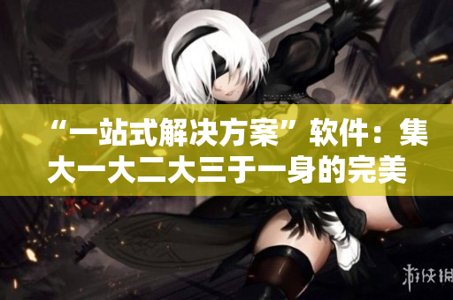 “一站式解决方案”软件：集大一大二大三于一身的完美选择