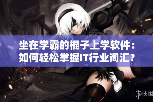 坐在学霸的棍子上学软件：如何轻松掌握IT行业词汇？
