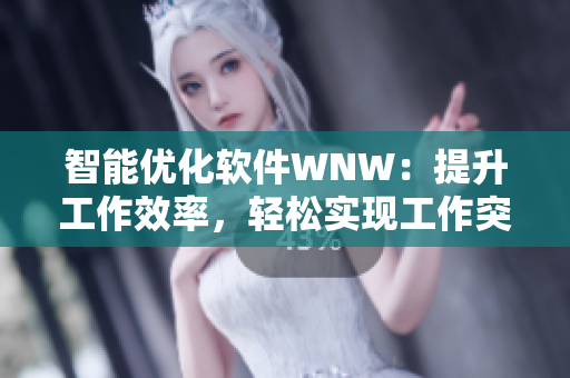 智能优化软件WNW：提升工作效率，轻松实现工作突破！