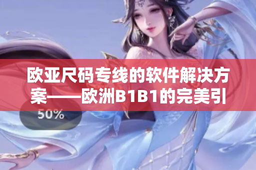 欧亚尺码专线的软件解决方案——欧洲B1B1的完美引进