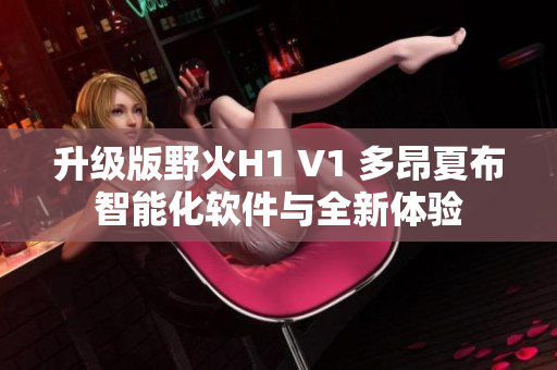 升级版野火H1 V1 多昂夏布智能化软件与全新体验