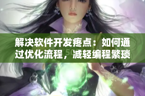 解决软件开发疼点：如何通过优化流程，减轻编程繁琐，提升效率