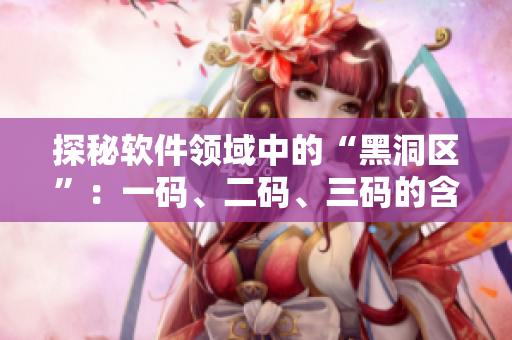 探秘软件领域中的“黑洞区”：一码、二码、三码的含义及其应用