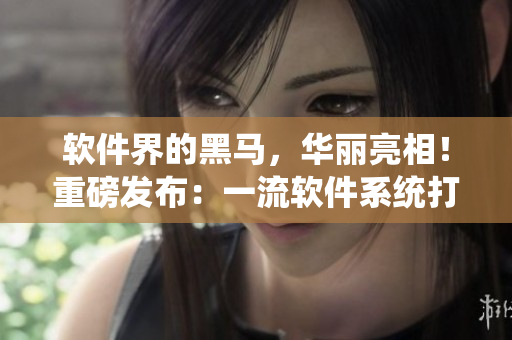 软件界的黑马，华丽亮相！重磅发布：一流软件系统打造全新体验！