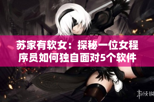 苏家有软女：探秘一位女程序员如何独自面对5个软件开发挑战
