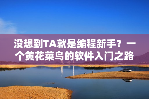 没想到TA就是编程新手？一个黄花菜鸟的软件入门之路