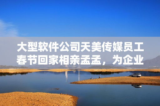 大型软件公司天美传媒员工春节回家相亲孟孟，为企业招聘注入新活力