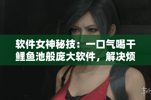 软件女神秘技：一口气喝干鲤鱼池般庞大软件，解决烦恼，提高效率