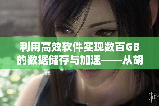利用高效软件实现数百GB的数据储存与加速——从胡萝卜到高C