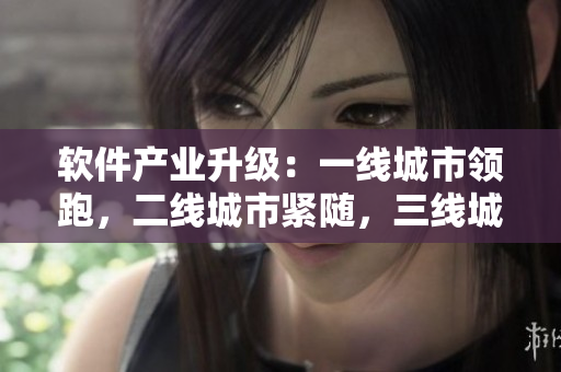 软件产业升级：一线城市领跑，二线城市紧随，三线城市潜力浑厚！